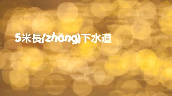 5米長(zhǎng)下水道疏通神器（5米長(zhǎng)下水道疏通神器圖片）