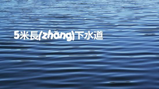 5米長(zhǎng)下水道疏通神器（下水道疏通器家用幾米）