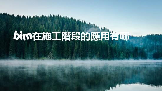 bim在施工階段的應用有哪些（bim技術在施工階段的應用主要包括）