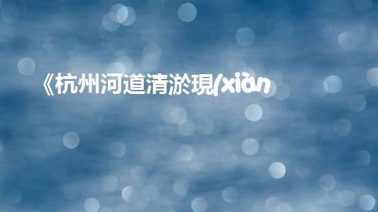 《杭州河道清淤現(xiàn)狀與挑戰(zhàn)》