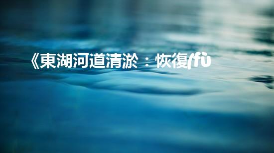 《東湖河道清淤：恢復(fù)水域生態(tài)，保障城市安全》