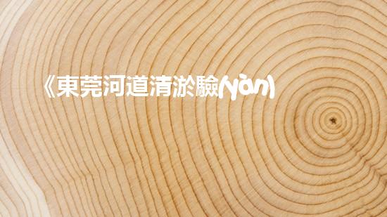 《東莞河道清淤驗(yàn)收規(guī)范實(shí)施指南》