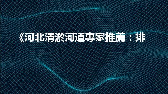 《河北清淤河道專家推薦：排名最好的清淤公司大揭秘！》