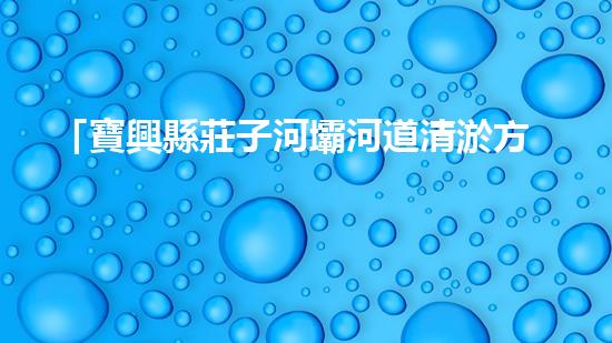 「寶興縣莊子河壩河道清淤方案」