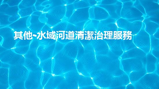 其他-水域河道清潔治理服務
