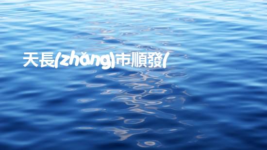 天長(zhǎng)市順發(fā)土石方工程有限公司
