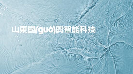 山東國(guó)興智能科技股份有限公司