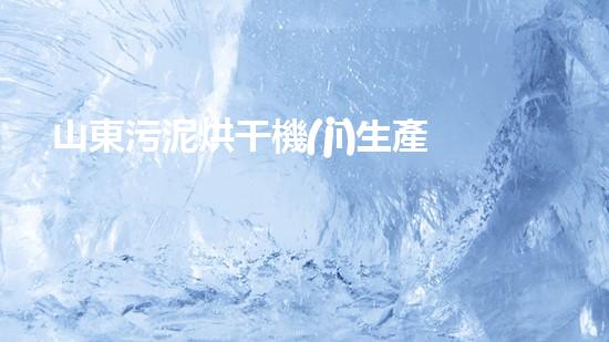 山東污泥烘干機(jī)生產(chǎn)廠家
