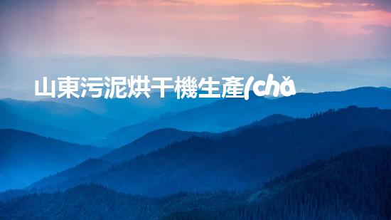 山東污泥烘干機生產(chǎn)廠家