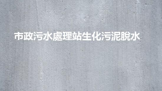 市政污水處理站生化污泥脫水案例