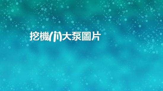 挖機(jī)大泵圖片