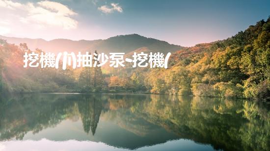 挖機(jī)抽沙泵-挖機(jī)抽沙泵