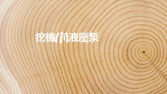 挖機(jī)液壓泵