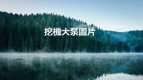 挖機大泵圖片
