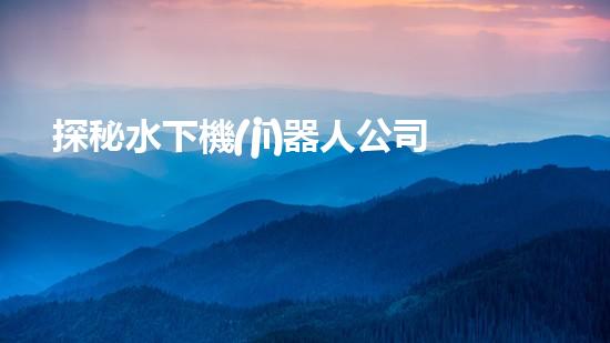 探秘水下機(jī)器人公司：未來(lái)海洋領(lǐng)域的黑科技！