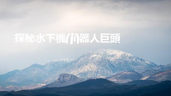 探秘水下機(jī)器人巨頭：揭開全球領(lǐng)先企業(yè)的神秘面紗！