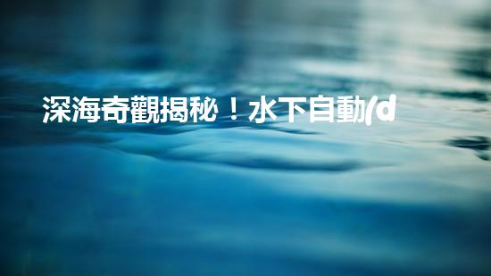 深海奇觀揭秘！水下自動(dòng)機(jī)器人探測(cè)儀探尋神秘海底世界