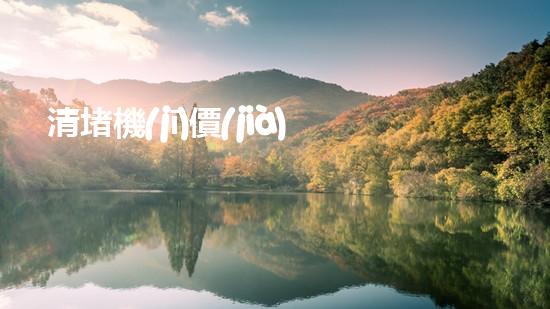 清堵機(jī)價(jià)格淤泥清理技巧揭秘：有效清除污泥的秘密方法是什么？