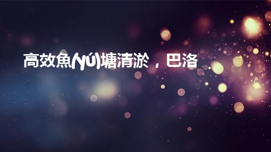 高效魚(yú)塘清淤，巴洛仕設(shè)備助力生態(tài)養(yǎng)殖