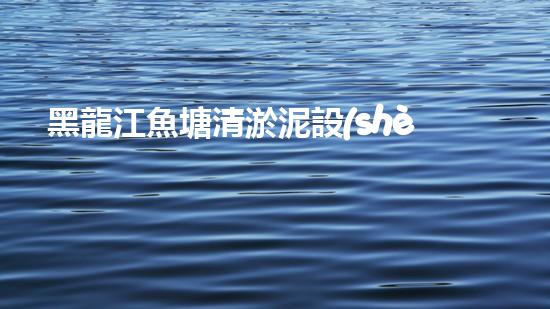 黑龍江魚塘清淤泥設(shè)備高效清淤技術(shù)助力水域生態(tài)恢復(fù)！